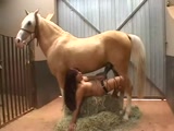 Horse Fucking Girl